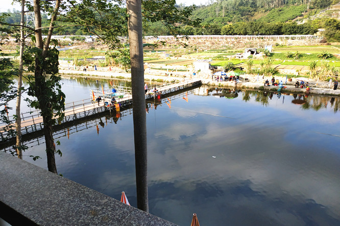 假期去哪里玩？深圳光明心湖生態(tài)園讓你“流連忘返”!