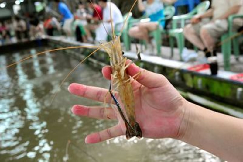 黃江樂心生態(tài)園-釣魚釣蝦