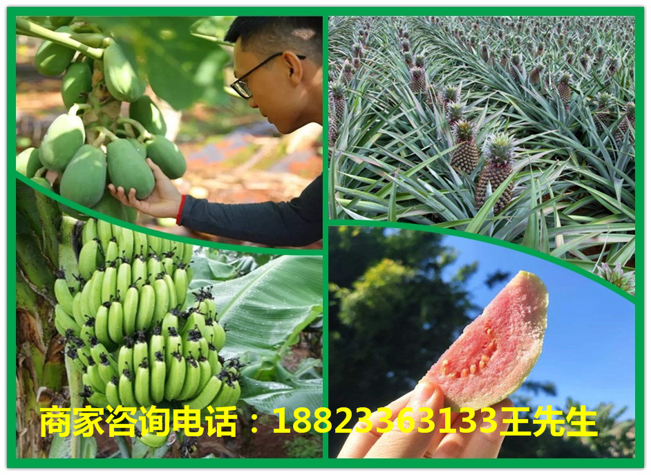 1微信圖片_202009231511307_副本.jpg