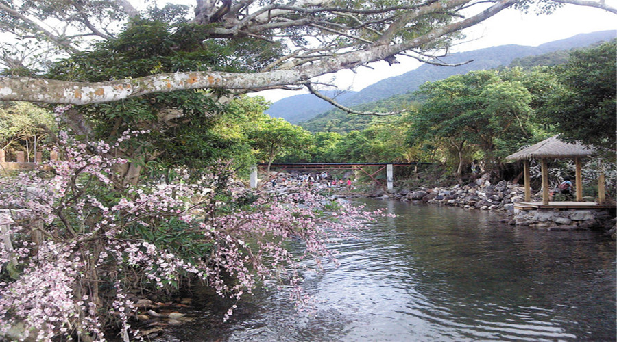文章附圖