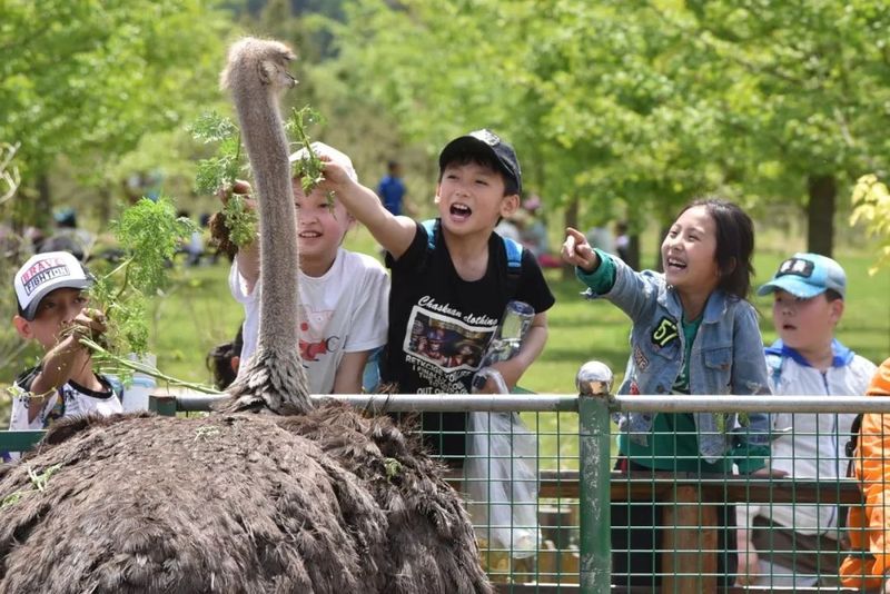 喂養動物