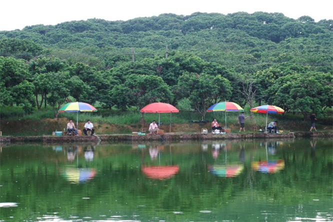 文章附圖